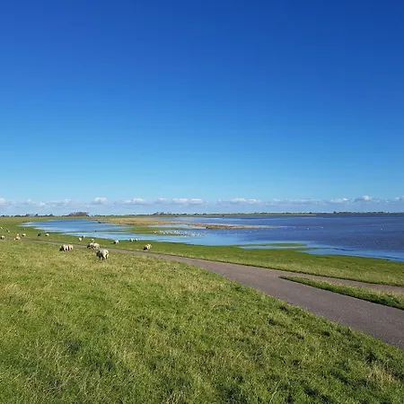 - Kann Vollerwiek