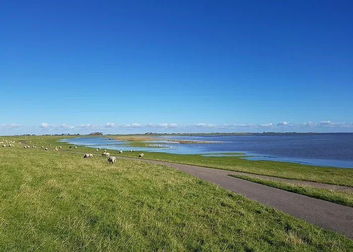 - Kann Vollerwiek